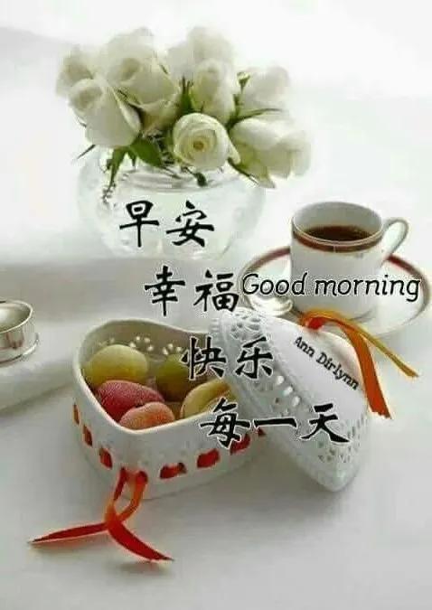 人生的路早安语录,人生路上要学会边走边忘记早安