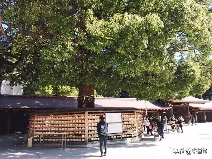 东京六本木地图,东京六本木街区