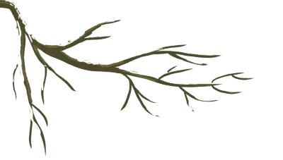 邵阳市打击电信网络诈骗犯罪会议,公安局打击电信网络新型犯罪总结