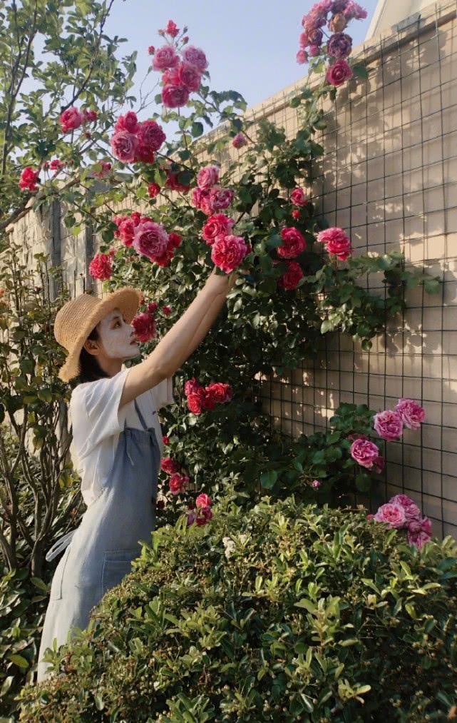 张馨予敷面膜徒手摘花，不惧被吐槽作秀，分享生活感悟满满正能量