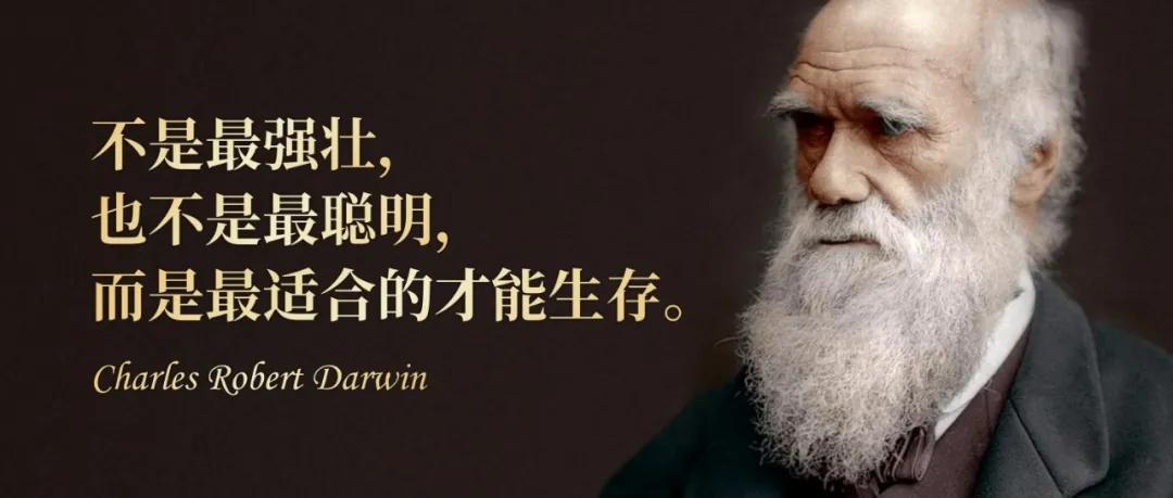 刘润概率思维,刘润打破认知