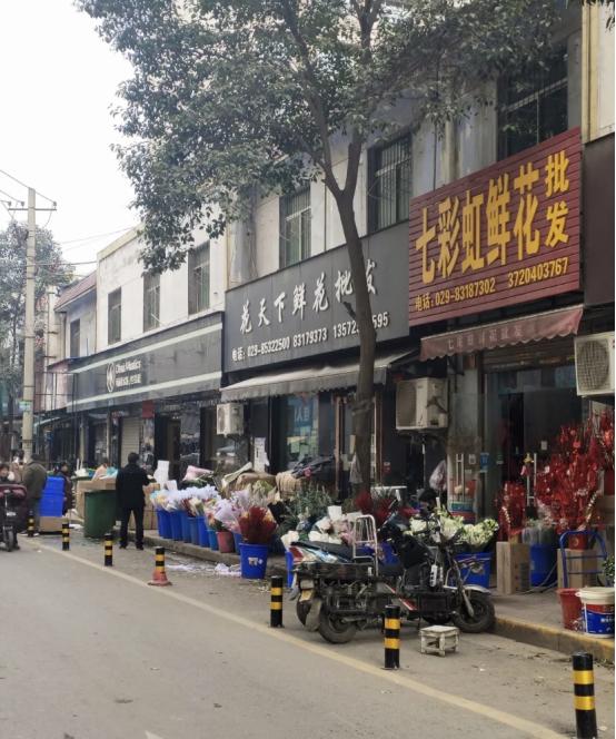 西安花卉市场下午鲜花便宜,西安哪个鲜花市场最大最便宜