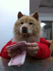 电商运营助理工资一般多少,武汉电商运营工资一般多少钱