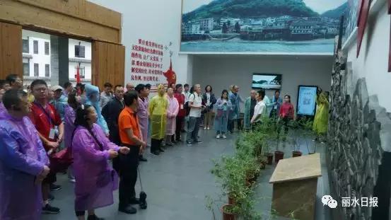 红色新丽水,红色浙西南央视