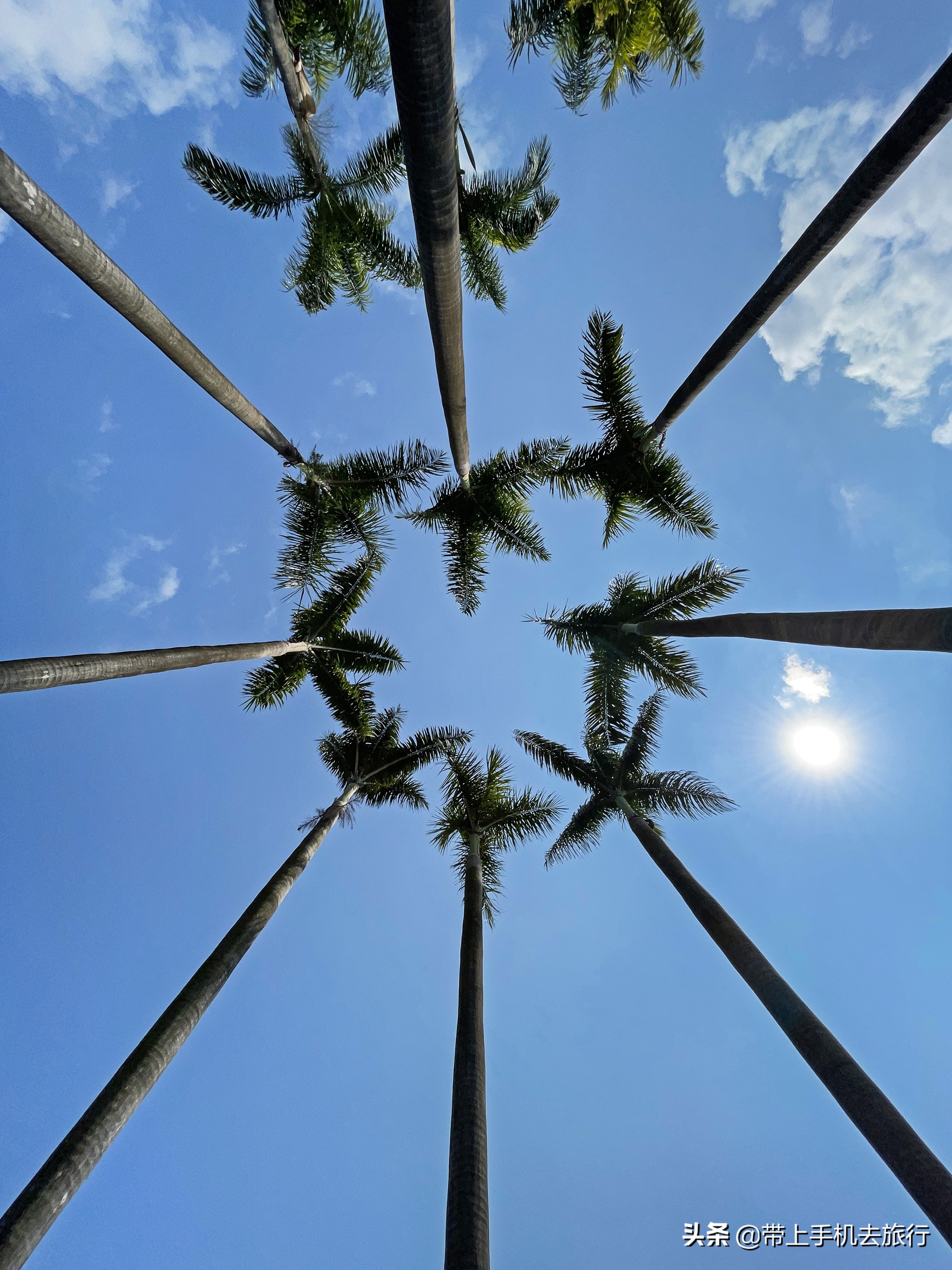 手机超广角垂直向上拍摄技巧,手机拍摄超广角无死角