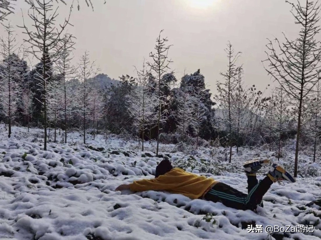 去四川南充都有哪些好耍的,南充市区最好的景点排名前十