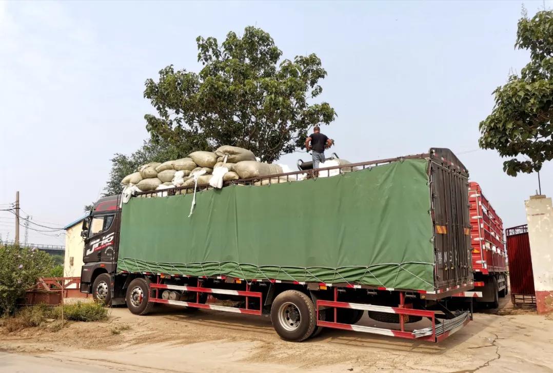 新款jh6车型,jh6有哪些车型