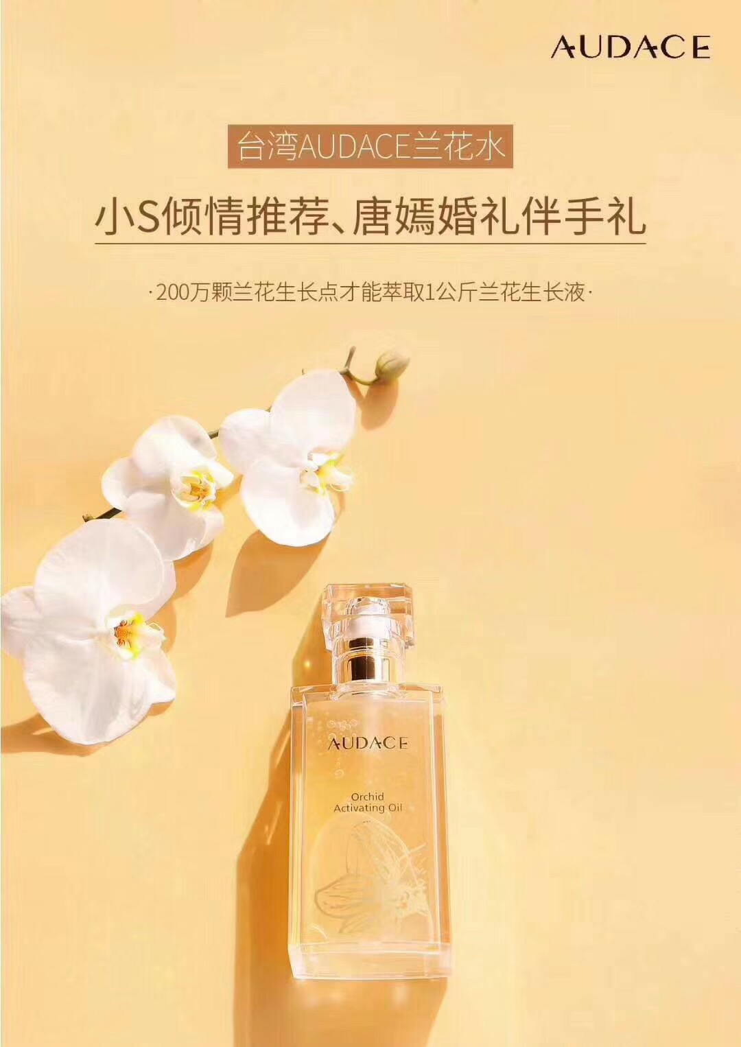 audace奥达士兰花精粹油,奥达士兰花油新款