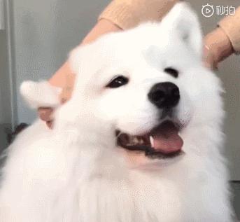 甭管啥就盘它,甭管什么东西盘它原版