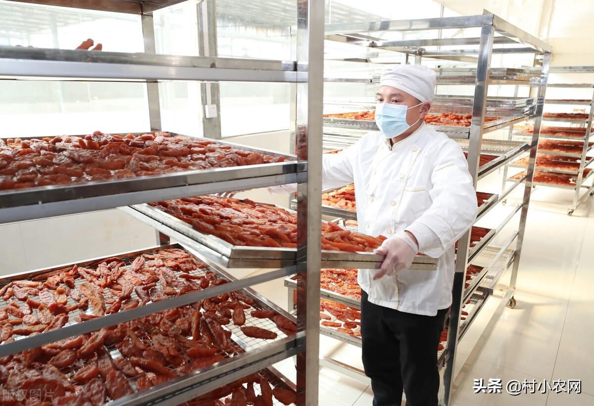 农村创业致富门路有哪些,返乡创业新农人有哪些创业项目