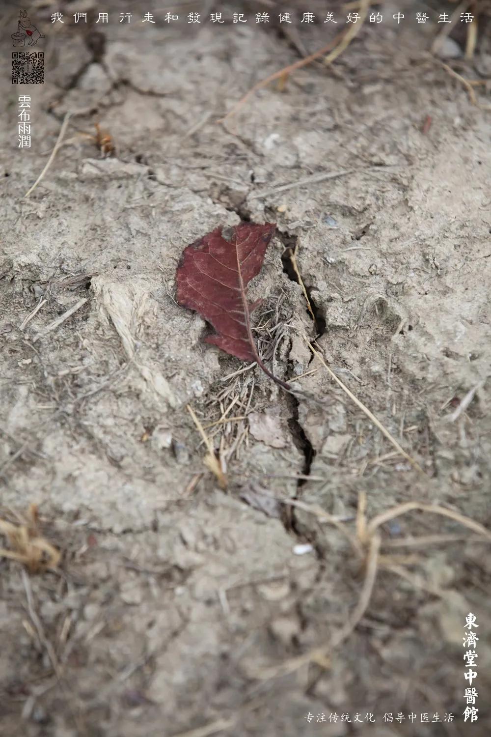 眼睛干嗓子干鼻子干吃什么药,眼睛干嗓子干大便干怎么回事