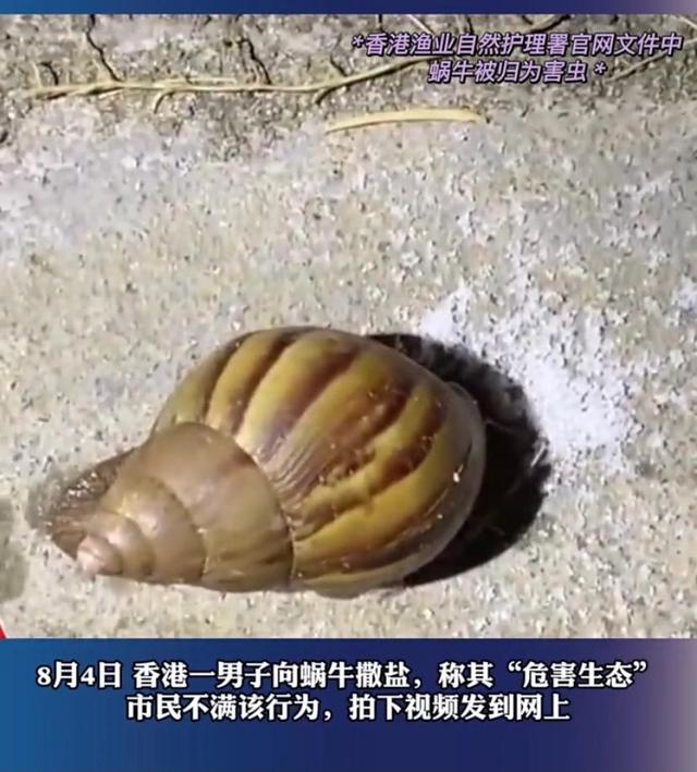 对乱港暴徒极为宽容，却称杀死3只害虫的人为“狂徒”，情何以堪