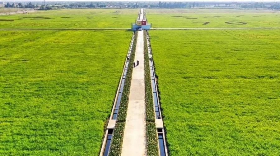 2020美到窒息！珠海的冬天，美炸了