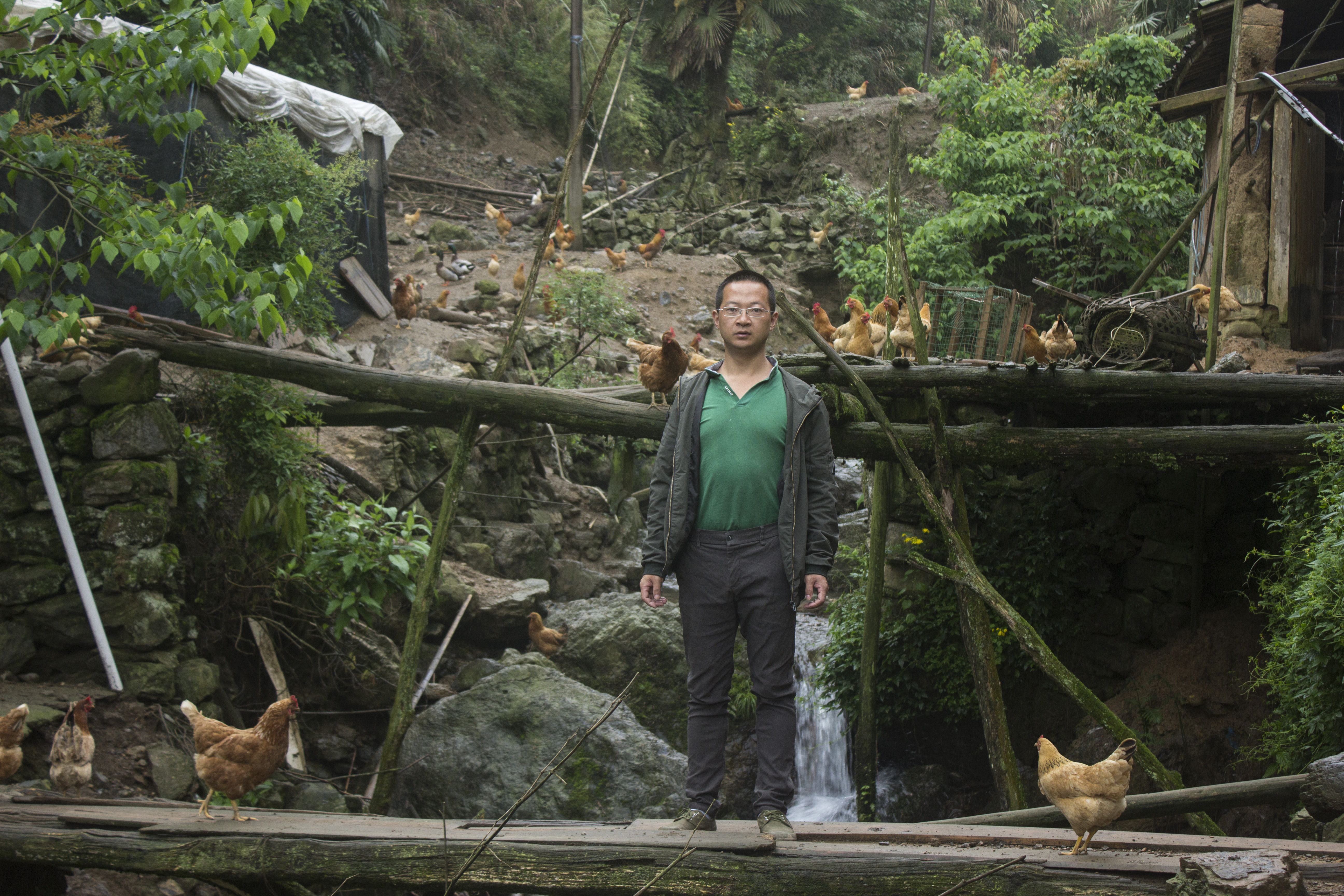 养殖2000只土鸡的成本与利润,养殖土鸡投资知识