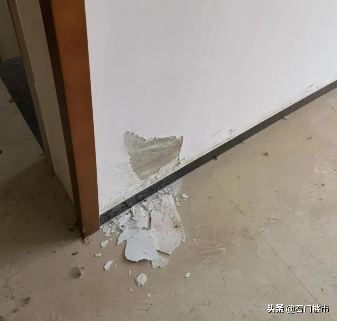 实探现场,实探日本果园