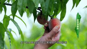 藏在贵州的十座千年古镇,贵州一个低调的千年古城