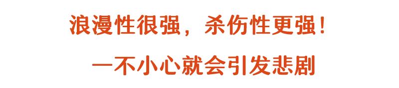 仙女棒烟花过期,网红烟花下架热议