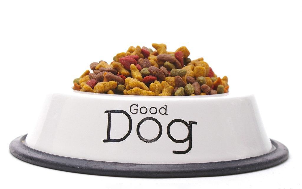 怎么挑选没体臭的斗牛犬,法国斗牛犬有浓痰