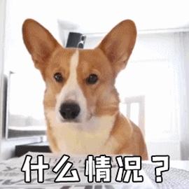 伪劣钓竿,揭露钓竿宣传的三大骗局