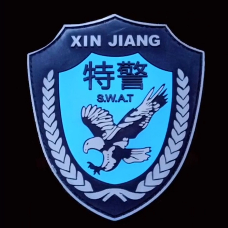 全国各个城市特警队臂章,公安特警帅图