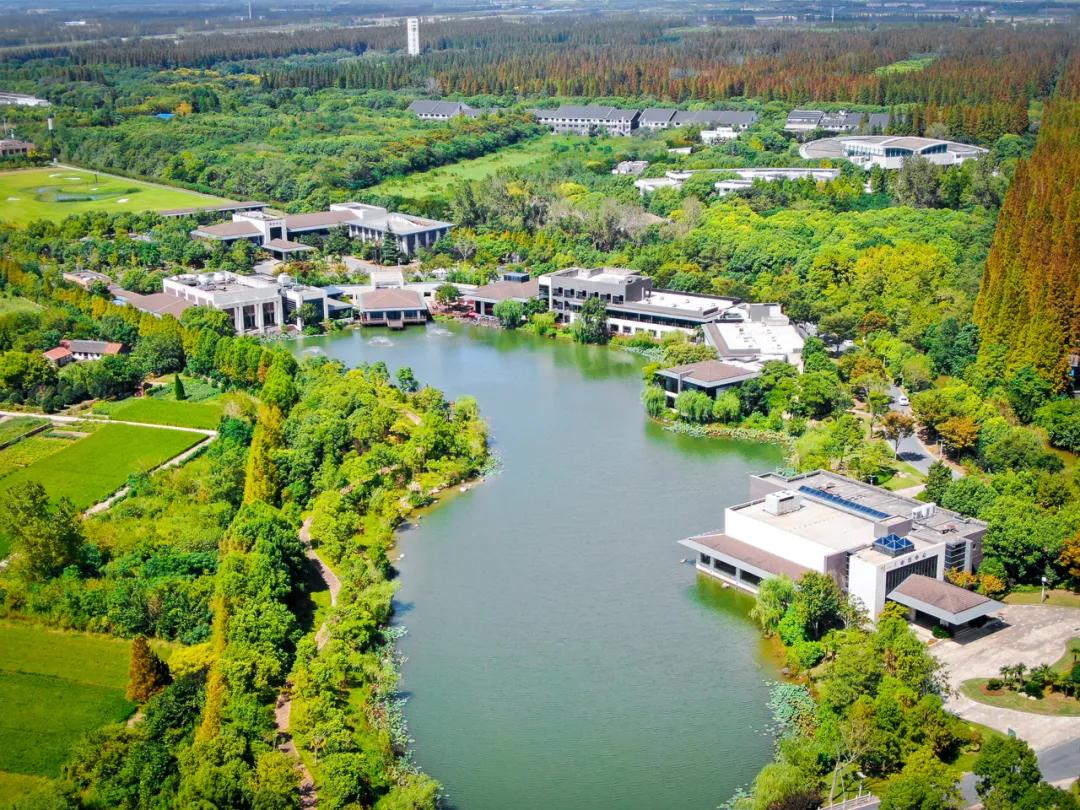 足不出沪的假期,足不出沪游上海