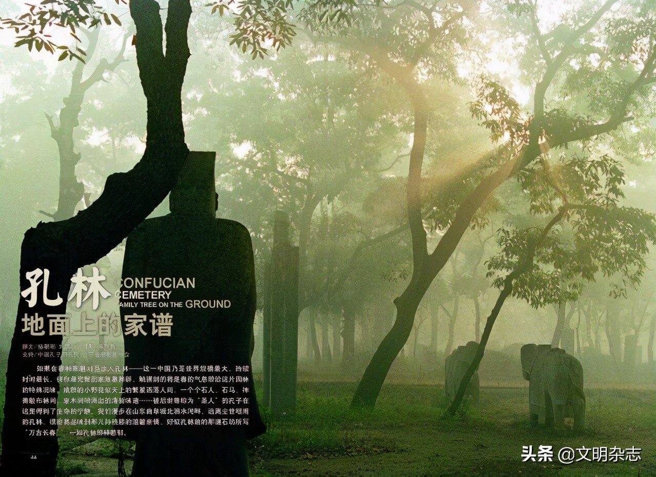 瀛旀灄瀹惰氨,瀛旀灄瀹惰氨瀛楄緢澶у叏