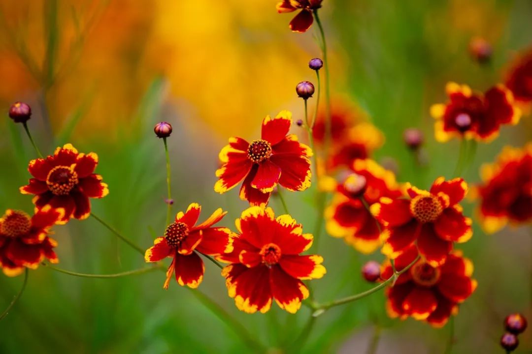 态度决定一切情感语录,态度决定一切吗