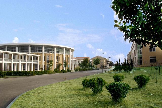 烟台历年高考前十名,烟台高考前十学校