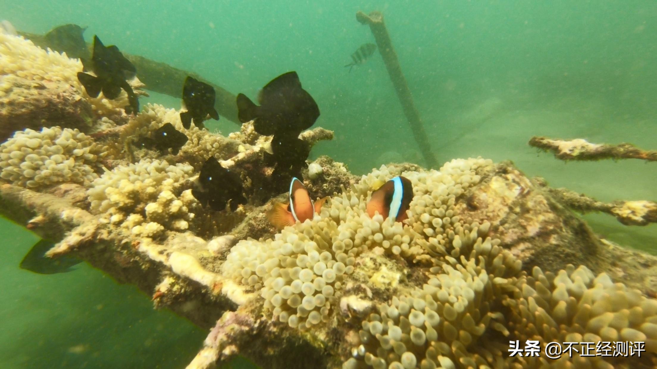 巴厘岛旅游攻略自由行攻略,巴厘岛的自由行旅游攻略