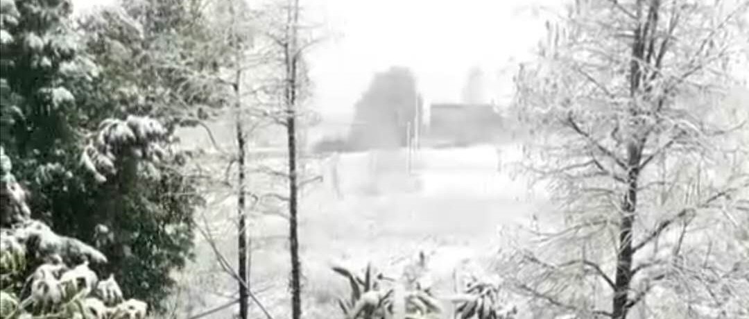 病毒席卷了我们的家园,病毒席卷了世界的每一个角落