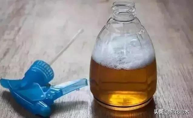 盆栽飞虫怎么杀,盆栽小黑飞虫怎么治