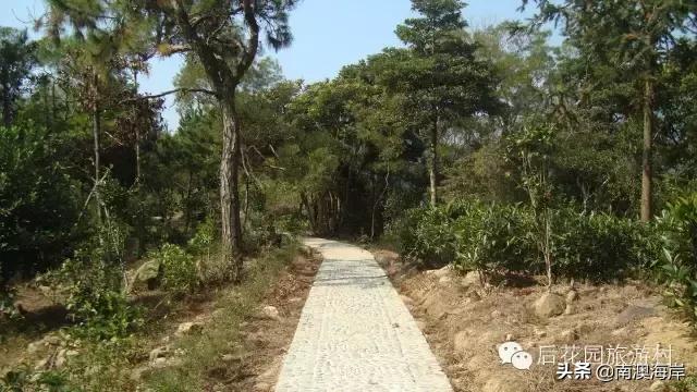 后花园旅游风景区,后花园古镇免费景点