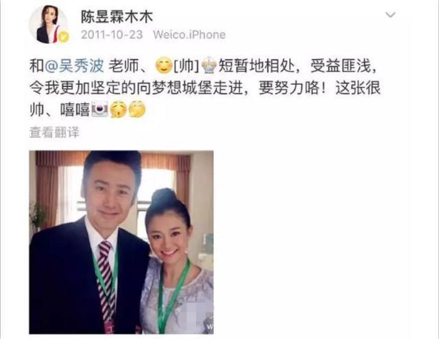 深度解析吴秀波事件,吴秀波事件纪实