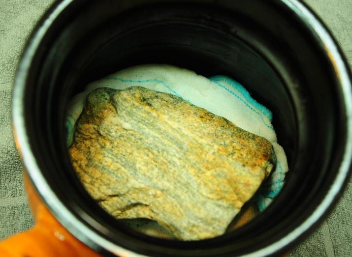 学会这个方法再也不用买豆芽了,豆芽不用买用塑料瓶就能发豆芽