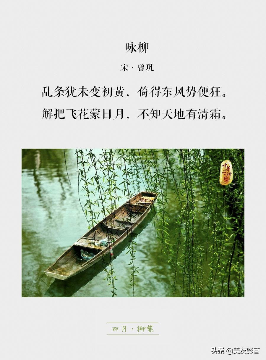 知识有哪些方面的,知识你了解了吗图片