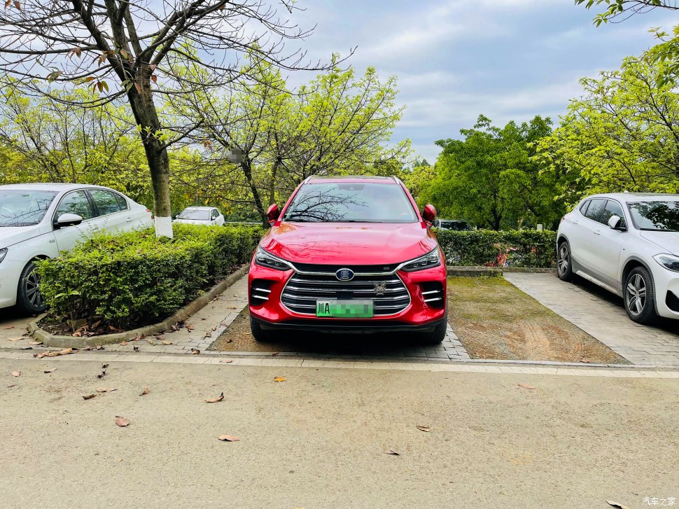 成都凤凰山公园可以爬山吗,成都凤凰山公园有什么好玩的