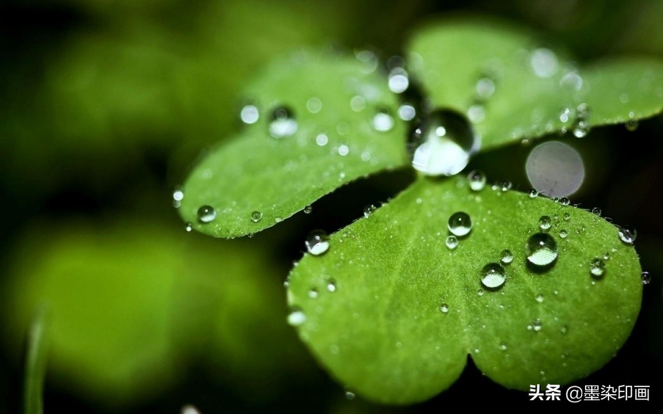清明节拍摄风景图片,清明节全家踏青照片如何拍摄