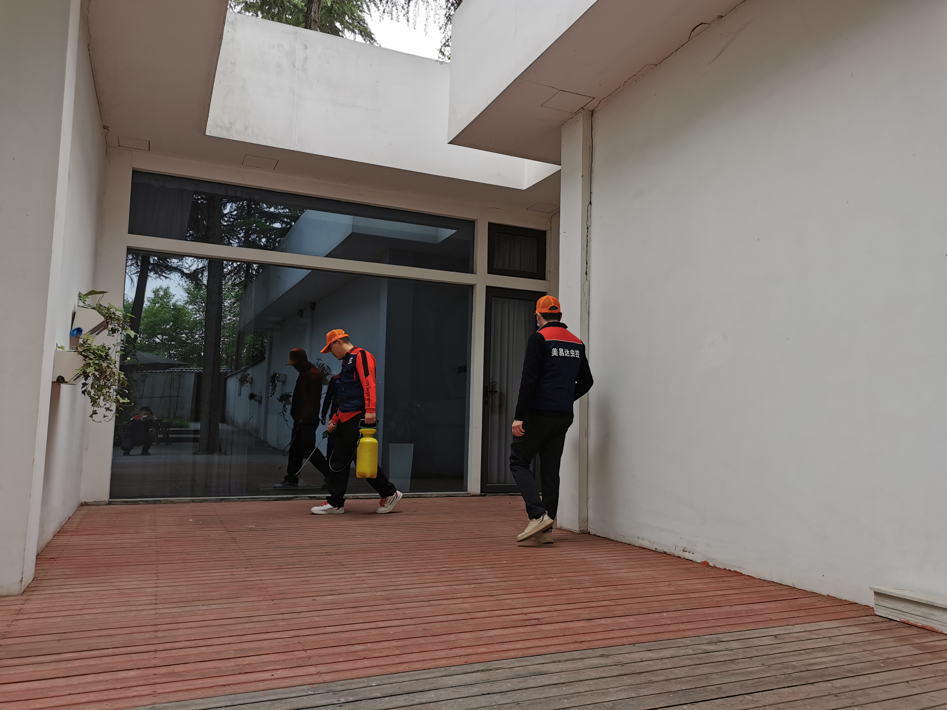 西安除虫灭蟑螂公司,陕西除虫灭蟑螂方案