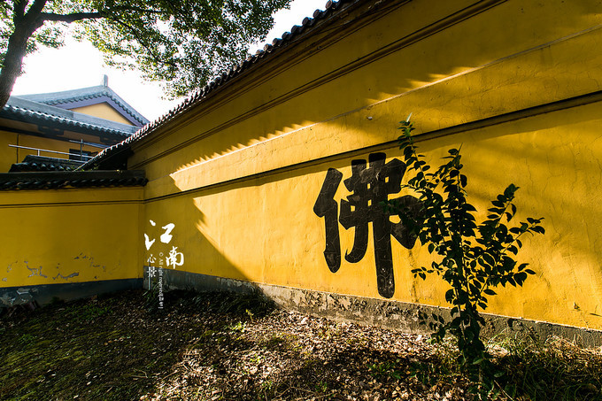 梦幻江南水乡仙境,带你看江南第一古镇