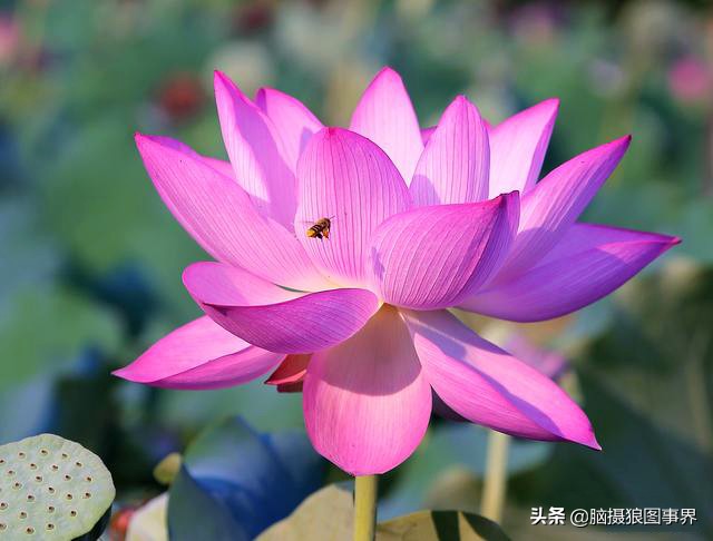 ps摄影后期软件工具使用教程,摄影ps后期工具栏设置