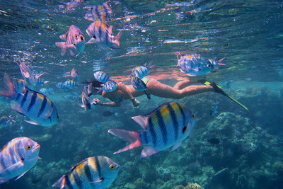 怀孕了要不要补“脑黄金”？