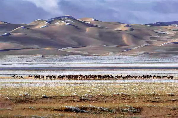 巴音布鲁克镇冬天的生活,巴音郭楞自治州和静县冬天