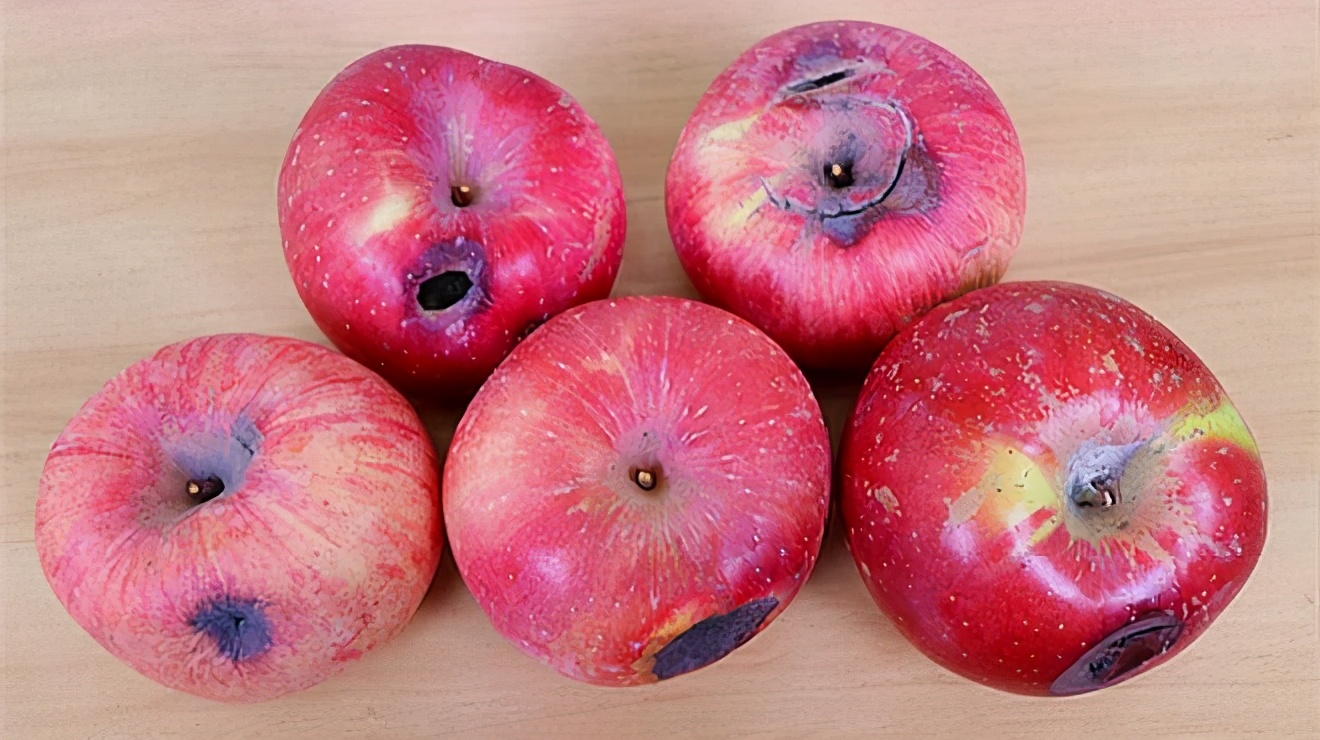 平安夜送什么苹果最好,平安夜苹果各种包装方法