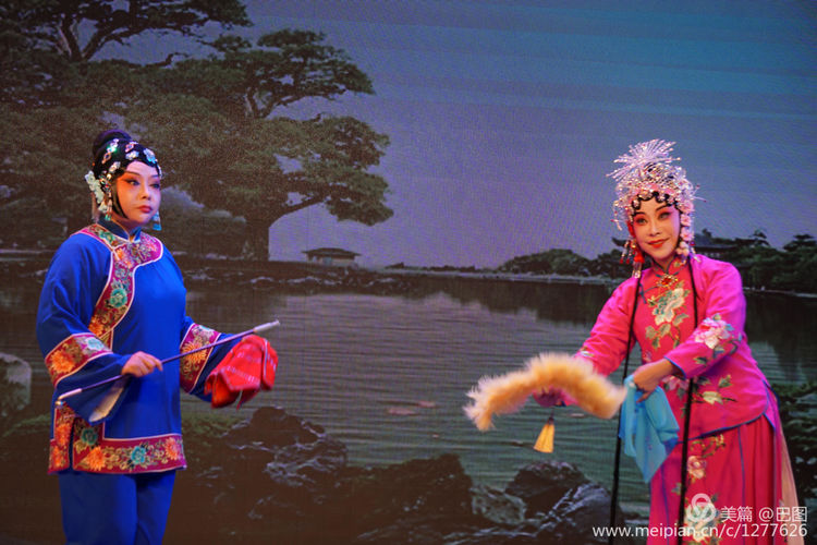 曲剧花为媒经典唱段全场,曲剧花为媒报花名完整唱段