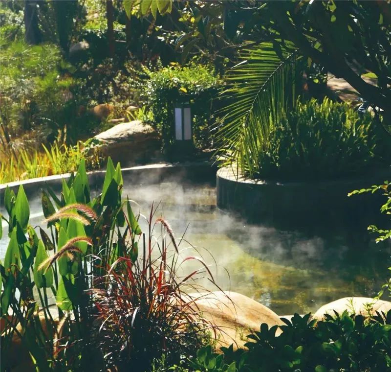 好消息宾馆优惠,云南哪些景点教师证有优惠