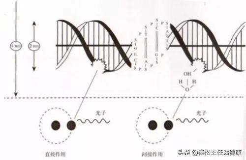 治疗癌症的法宝：放射性治疗
