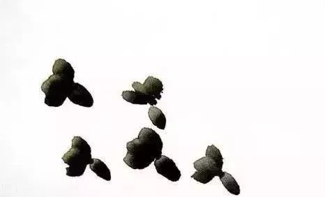 国画作品常识有哪些,国画创作的思路和方法