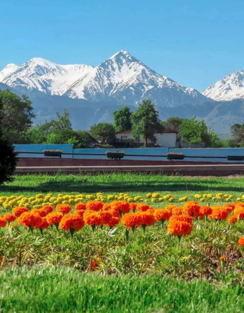 中国至今没被认全的20个邻居,个个身怀宝藏,你知道几个?