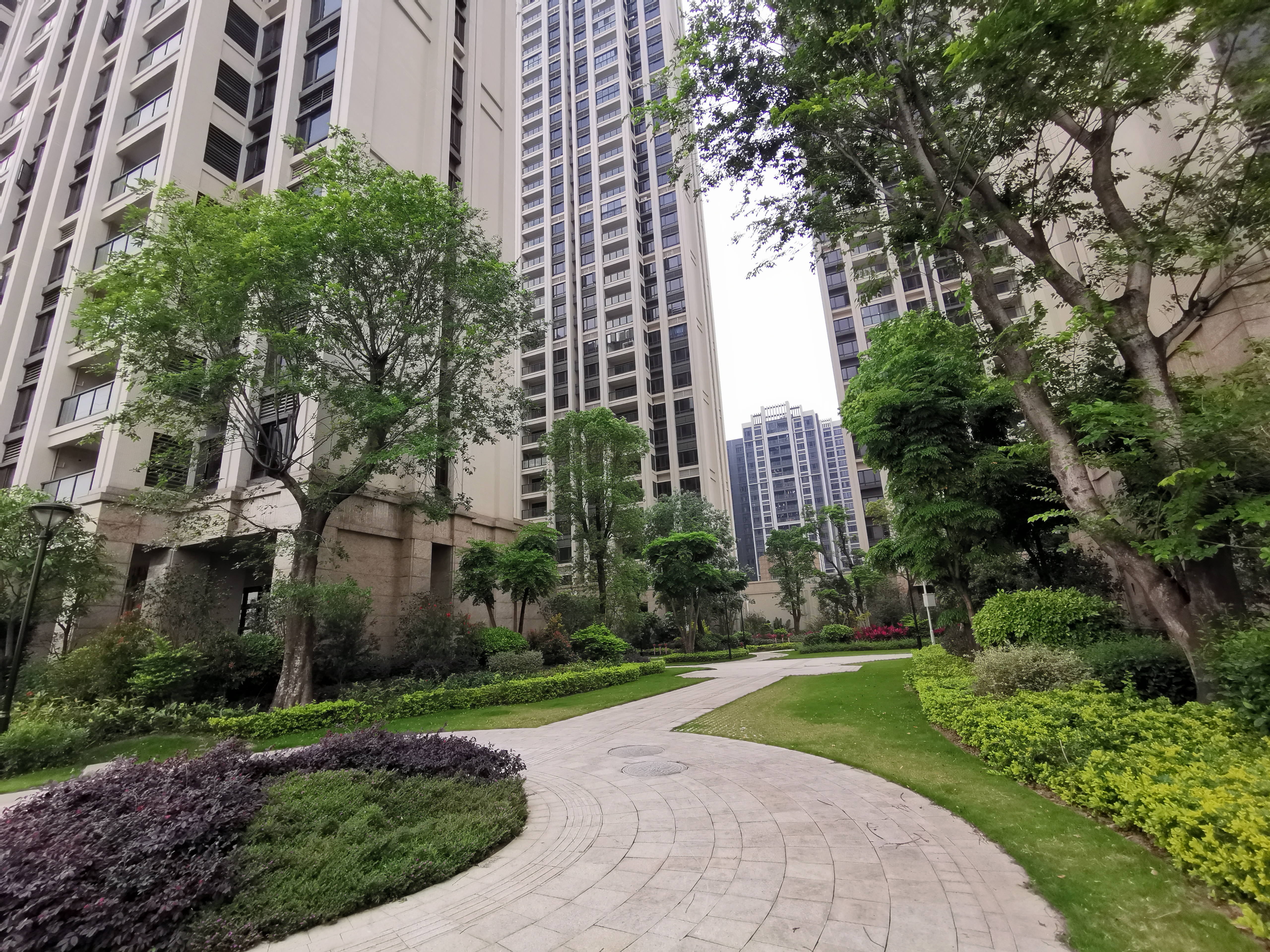 怡翠尊堤新楼盘,怡翠尊堤江景大城