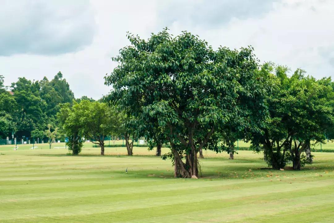 观澜算深圳偏僻的地方吗,观澜有没有价值
